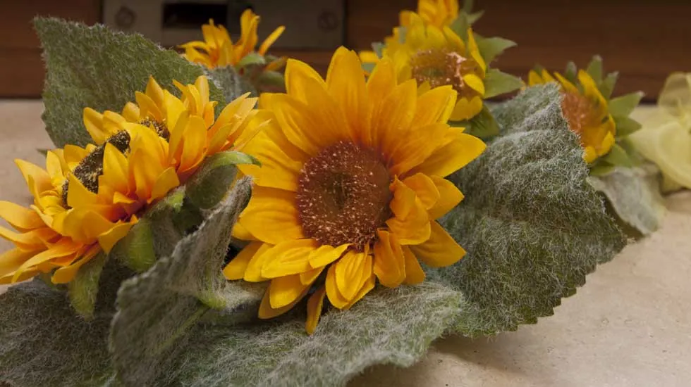 Dettaglio camera Camera Girasole