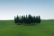 Escursioni in Toscana